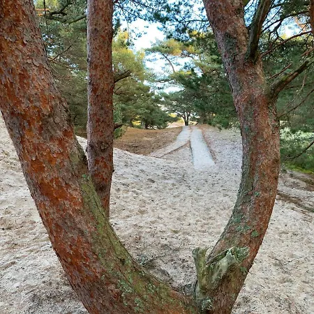 Przyczepy Vip - Osrodek Na Klifie Village - Helska 11 * Hel