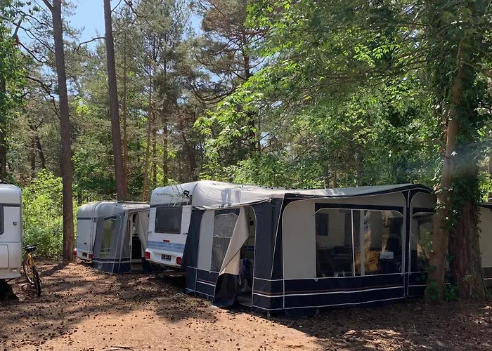 Przyczepy Vip - Osrodek Na Klifie Village - Helska 11 Camping