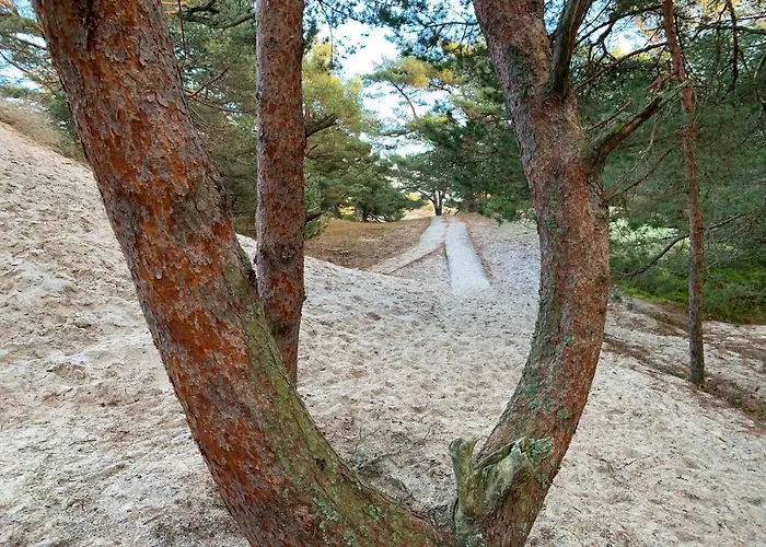 Przyczepy Vip - Osrodek Na Klifie Village - Helska 11 * Hel